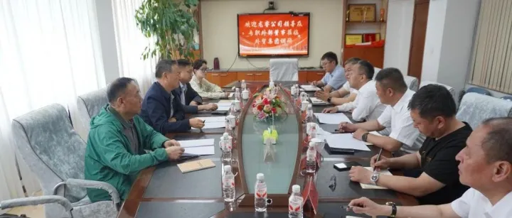 深入调研把脉赋能 精准施策助推发展——龙睿公司董事会调研组莅临外贸集团开展专项调研工作