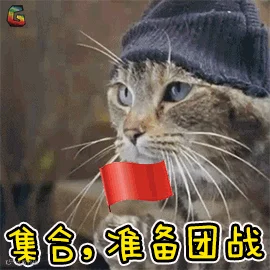 萌宠