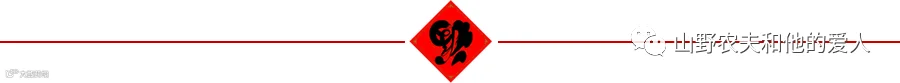 新春 福字 分割线