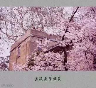 u=3841440199,3070401679&fm=23&gp=0.jpg
