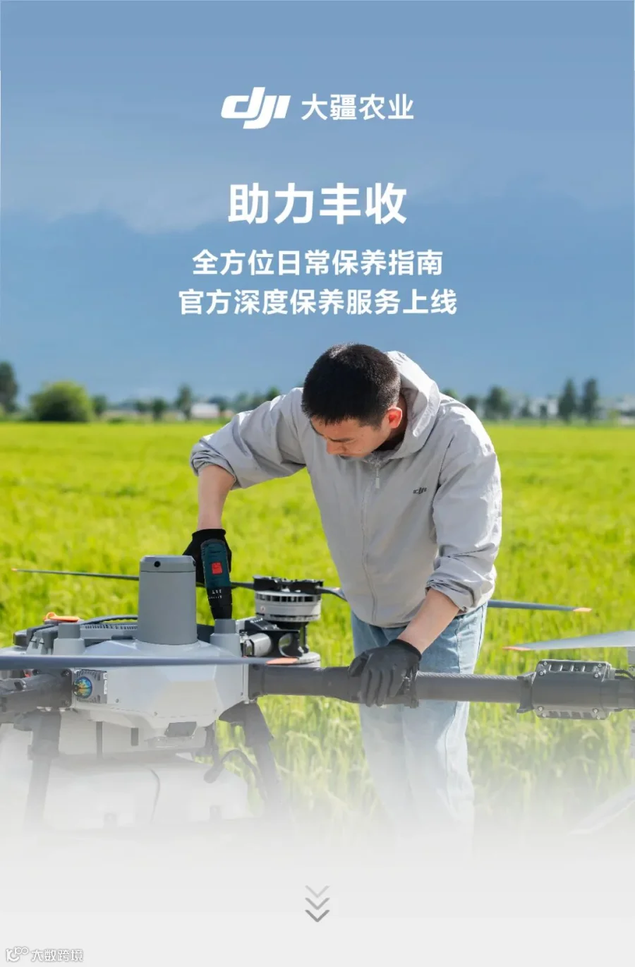 插图