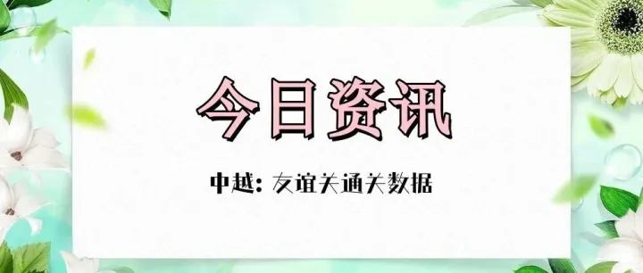 5月30日快讯：中越友谊关通关资讯