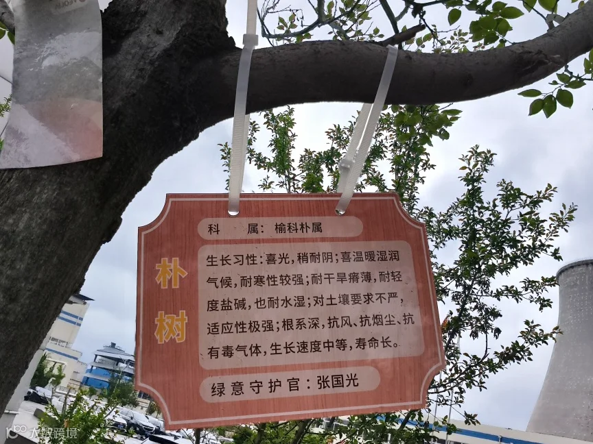 裁剪图片