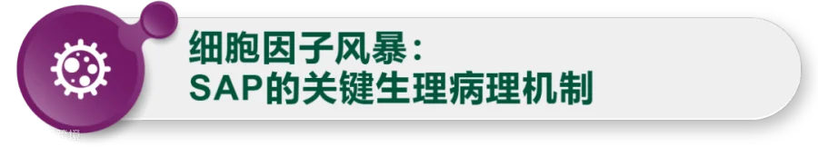 cbaf9145b8ba484a3a0943844d4ea662.png