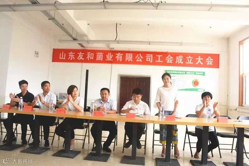 JPG_9919_副本.jpg