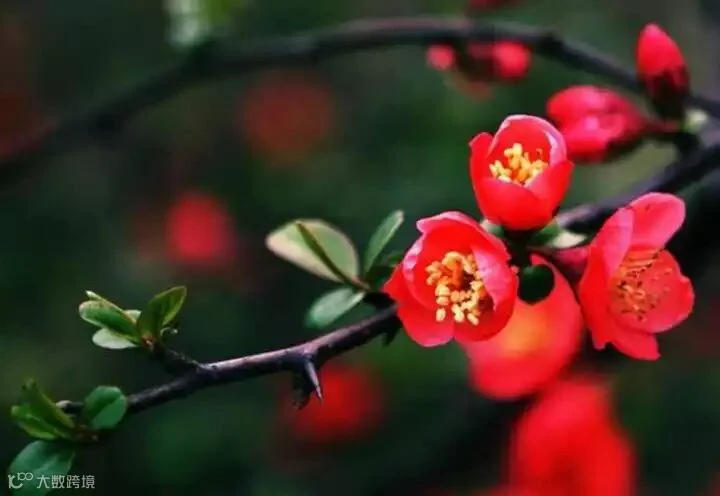 图片 2