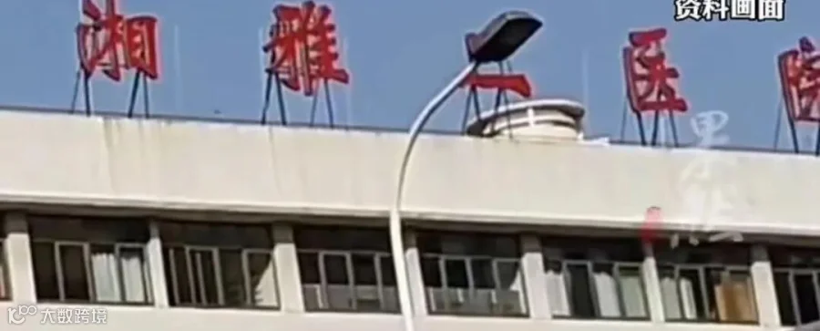 预览图