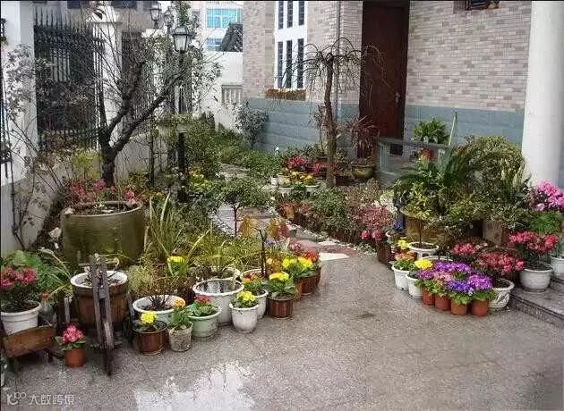 庭院花园