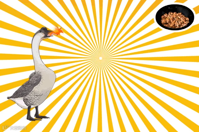 1573021880839800.gif