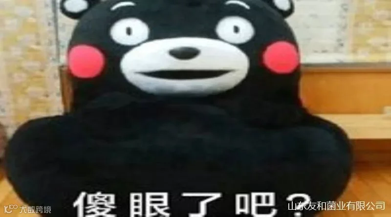 640 (1)_副本.jpg