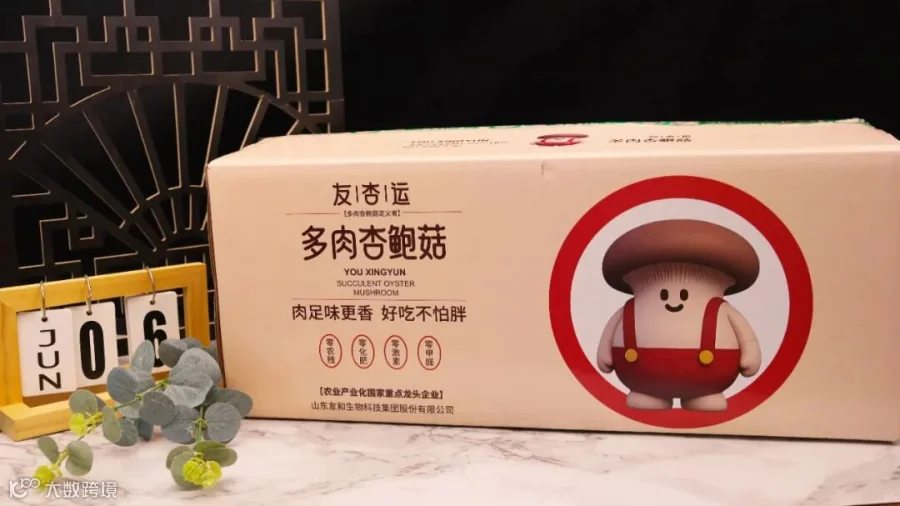 微信图片_20251016083550_333_25.jpg