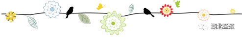 花,枝条
