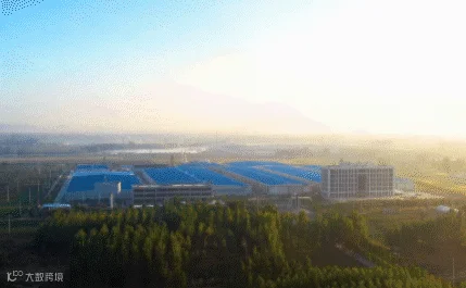 柚子.jpg