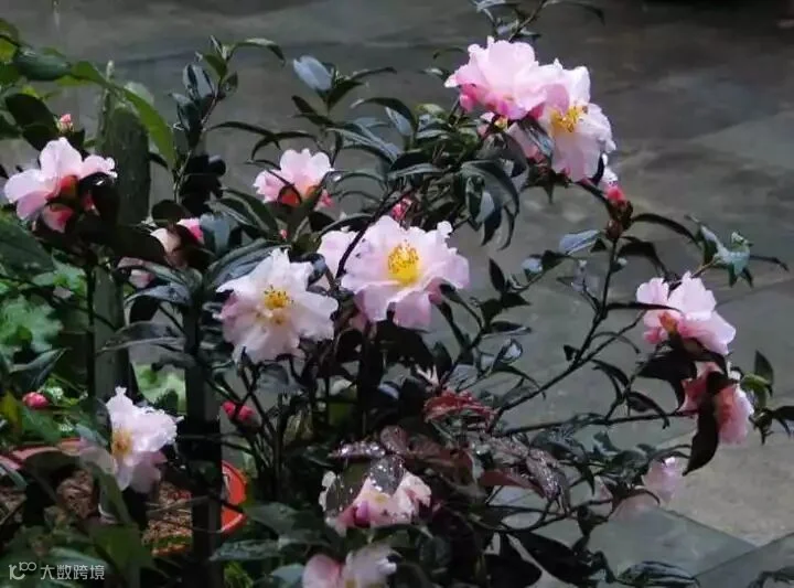 图片 6