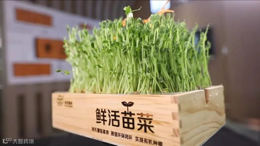 微信图片_201905271645014.jpg