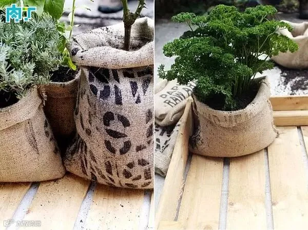 点击浏览大图