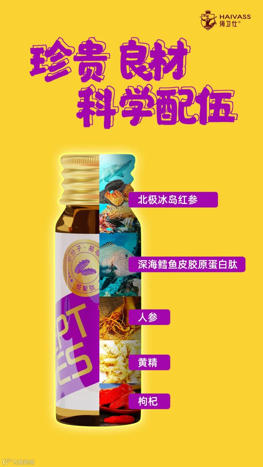 海参胶原蛋白肽.jpg