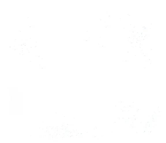组 9.png