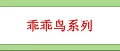 乖乖鸟系列