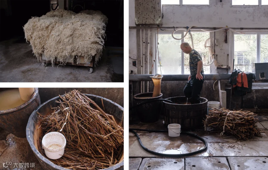 Top left: Raw bark used for making “xuan” paper; Bottom left: Kiwi fruit branches used to make the adhesive for making “xuan” paper; Right: A papermaker prepares kiwi fruit pulp, April 2025. Wu Huiyuan/Sixth Tone