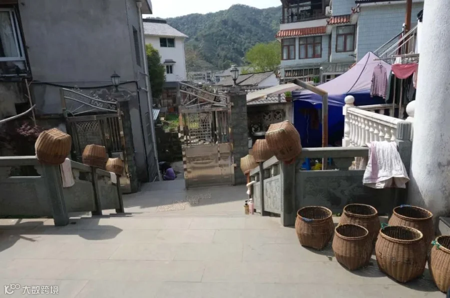 Bamboo baskets hang in the courtyard of Zhu Xiaoqing’s home in Meijiawu, ready for the next round of picking.
