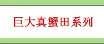 巨大真蟹田系列