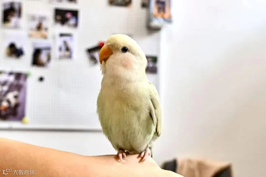 introduction
