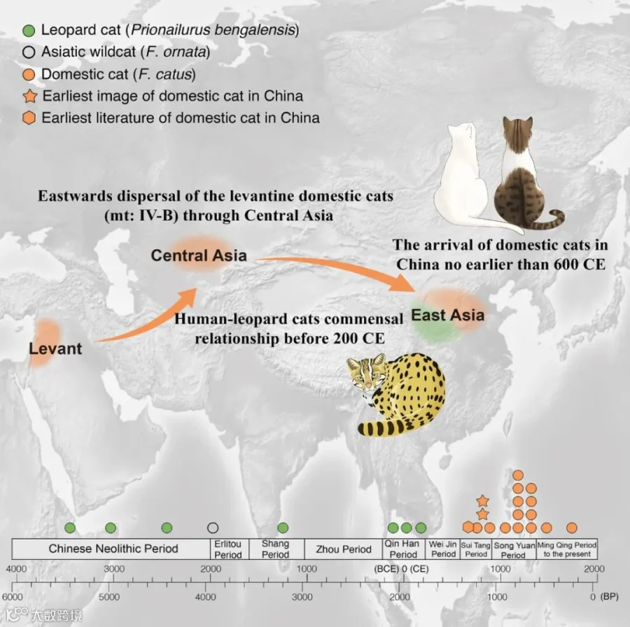 A graphical abstract of the study by Luo and her team members. From the team’s paper in Cell Genomics, January 2026.