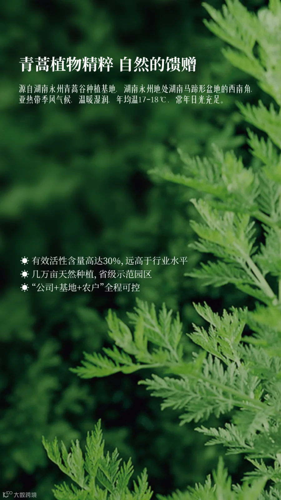 5584e70df4540f5bdae4d87d76d9fb73_0_from=appmsg&wxfrom=12&wx_fmt=png&tp=webp.png