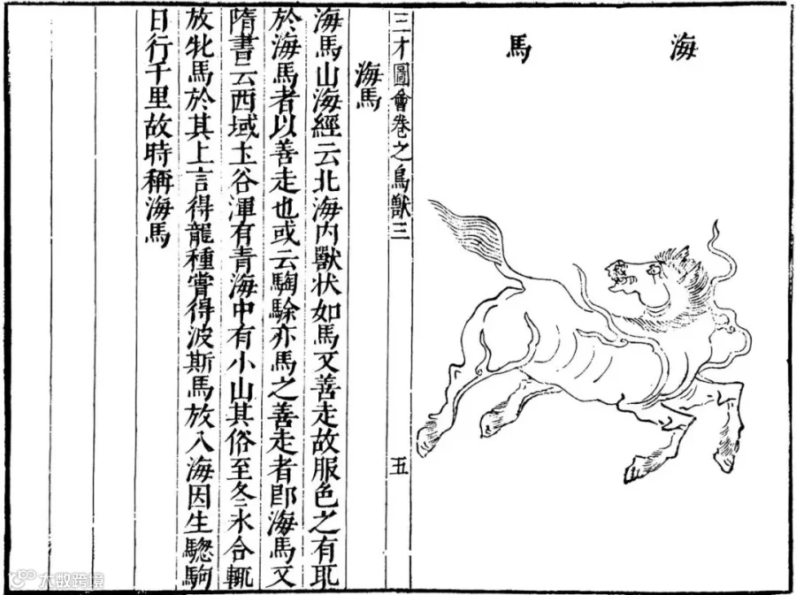 introduction