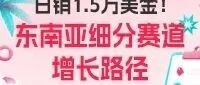 从0到日销1.5万美金：东南亚细分赛道大卖的可复制增长方法论