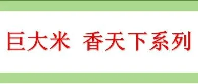 巨大米香天下系列