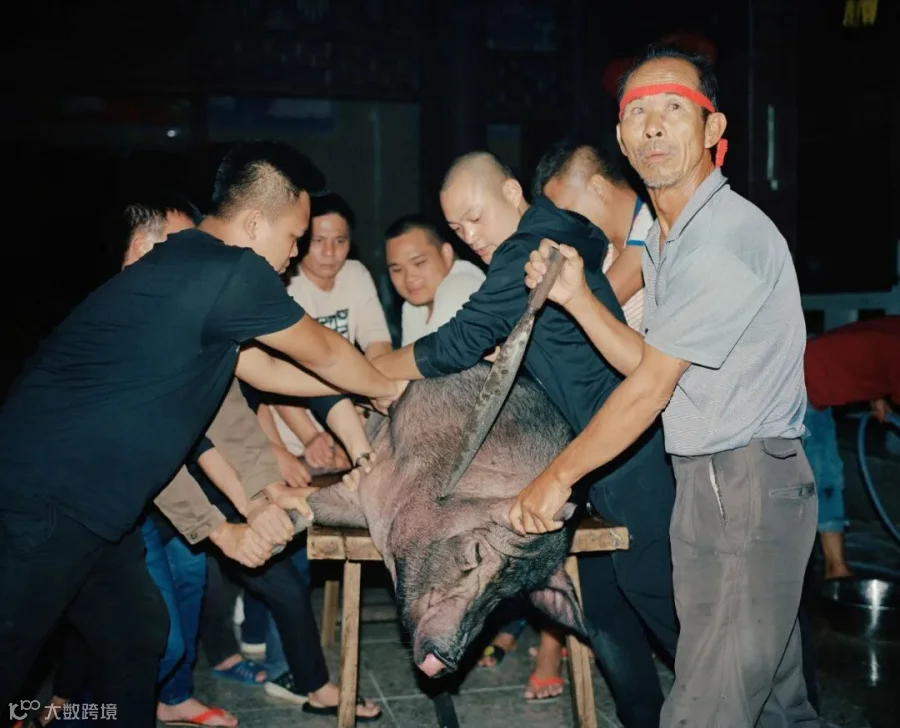 A pig is sacrificed to the gods in the temple on Lantern Festival, Donghai Island, Guangdong province, 2019. Courtesy of Chen Liang