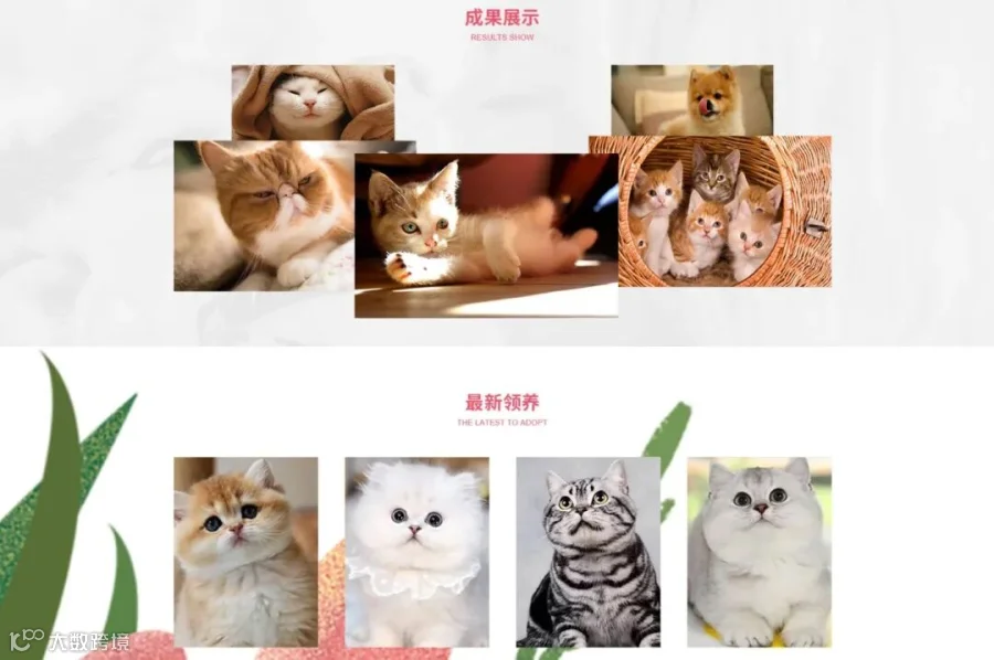 introduction