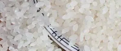 大米的知识