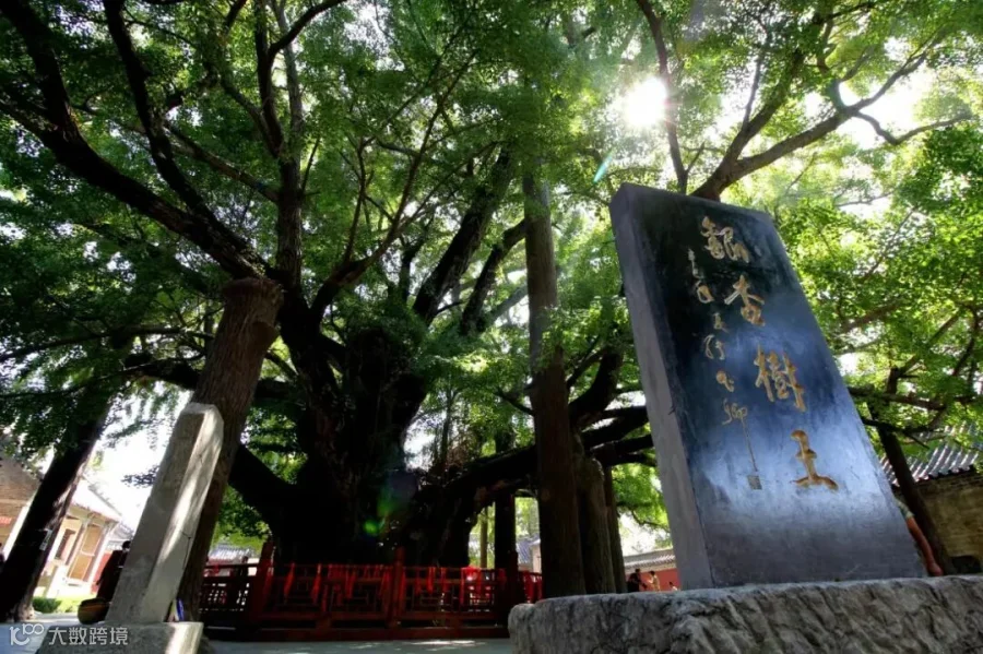 微信图片_20230710163928.jpg