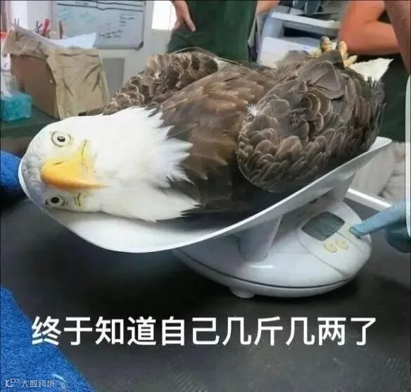 nimg.ws.126.net-12.jpeg