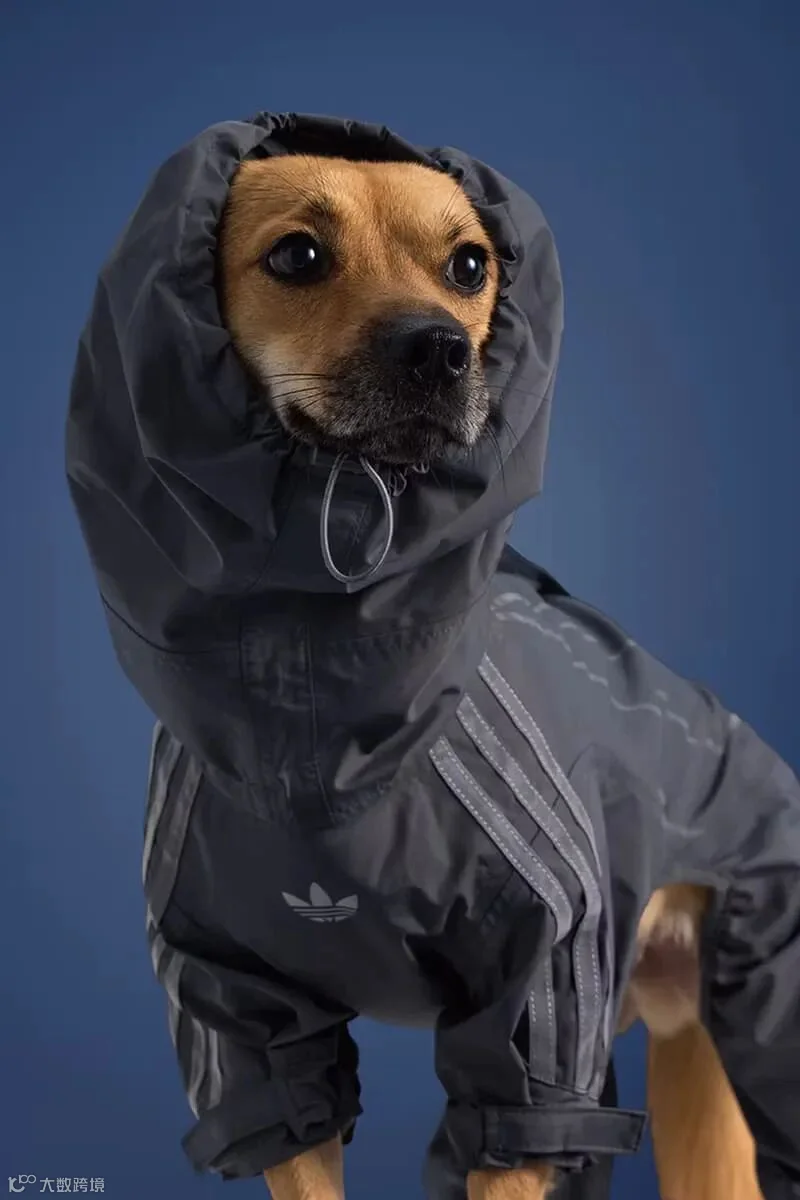 adidas Originals Pet Collection Release Info