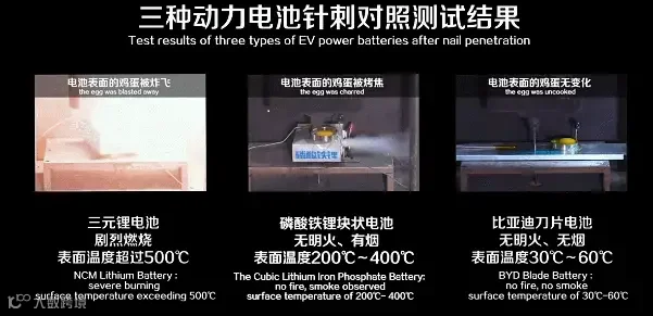 针刺实验图片.png
