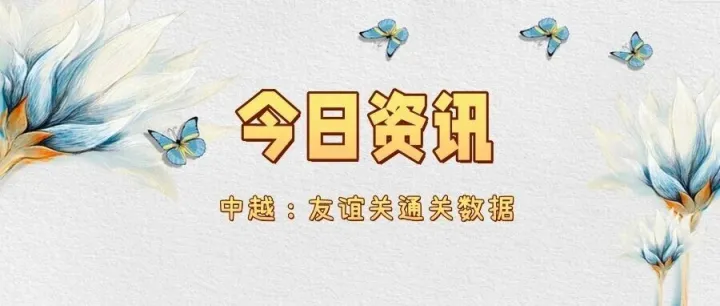 6月3日快讯：中越友谊关通关资讯