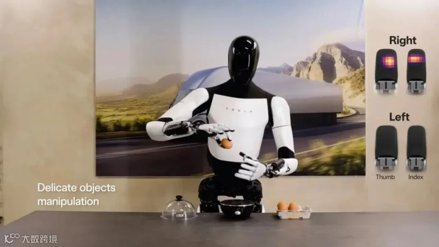 video-cover-edntaiwan-Tesla-Optimus.jpg.jpg