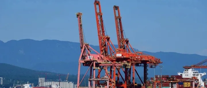 出口代理直播怎么做？德国市场全流程实战拆解与合规要点解析