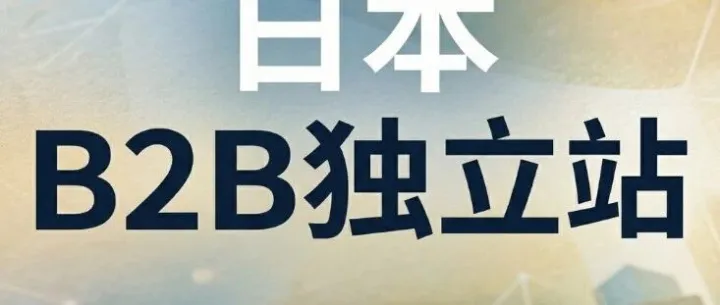 瞄准利基市场！拉开与竞争对手差距的日本B2B独立站胜率提升策略