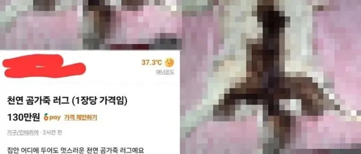 중고거래 사이트에 올라온 130만원짜리 '곰 가죽'... 누리꾼들 "개 가죽 아니냐"