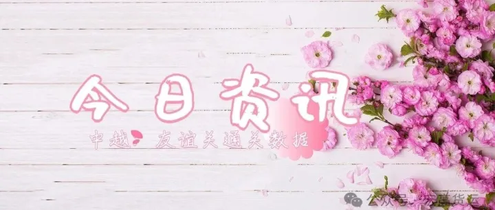 6月4日快讯：中越友谊关通关资讯
