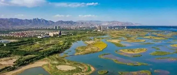 石嘴山搞什么飞机啊，本来都快把银川咬住了，结果拉了坨大的，被银川甩开几条街。