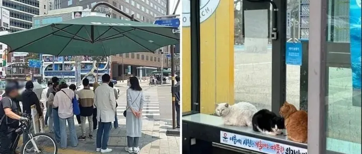 "한국엔 이런 것도 있네"... 日 누리꾼들이 감탄한 'K-길거리 복지'