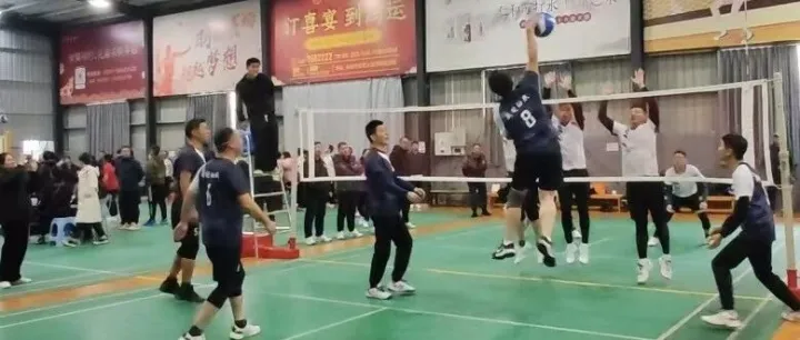 球场上的青春与激情