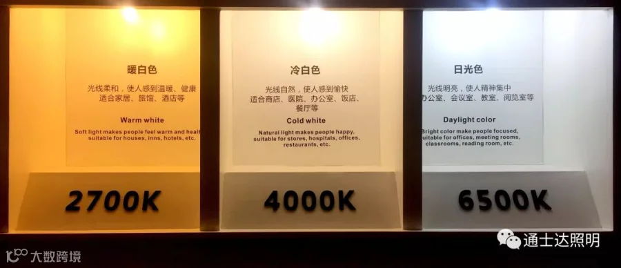 1803148166.jpg