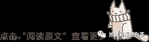 引导阅读原文,猫咪